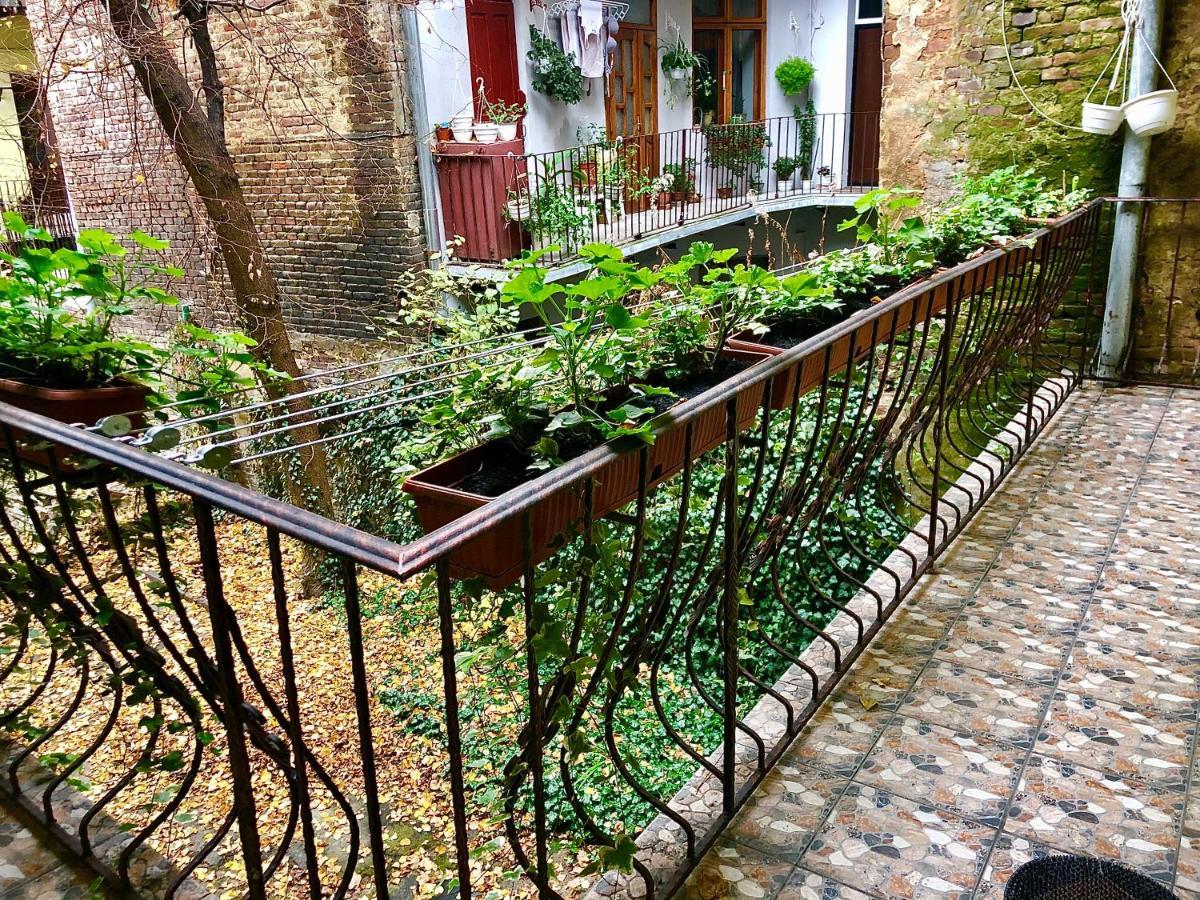 Romantic Apartments- In Historical Center Lviv Kültér fotó